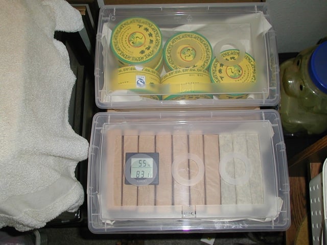 Shoe Box.jpg