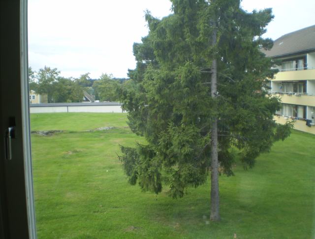 P9050017.JPG