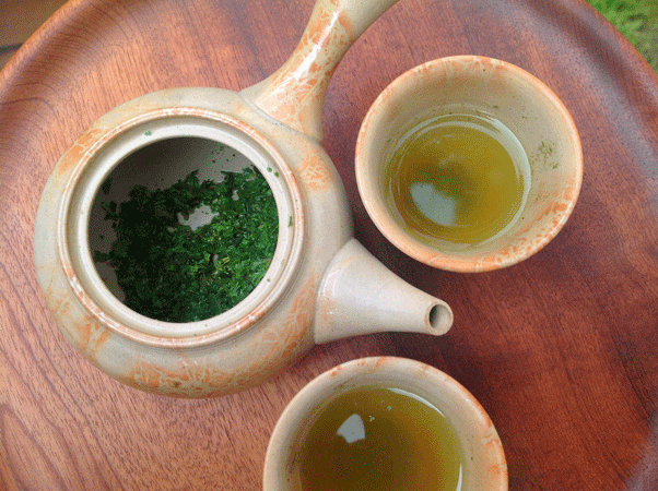 _Yamamotoyama,-Shincha-Brazil-Green-Tea.gif