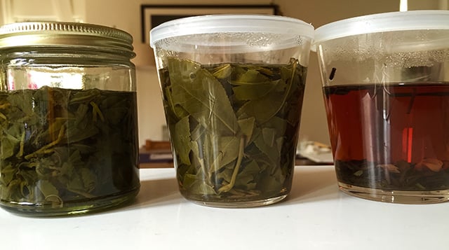 Overnight Steep then Refridgerate_5100_sm.jpg