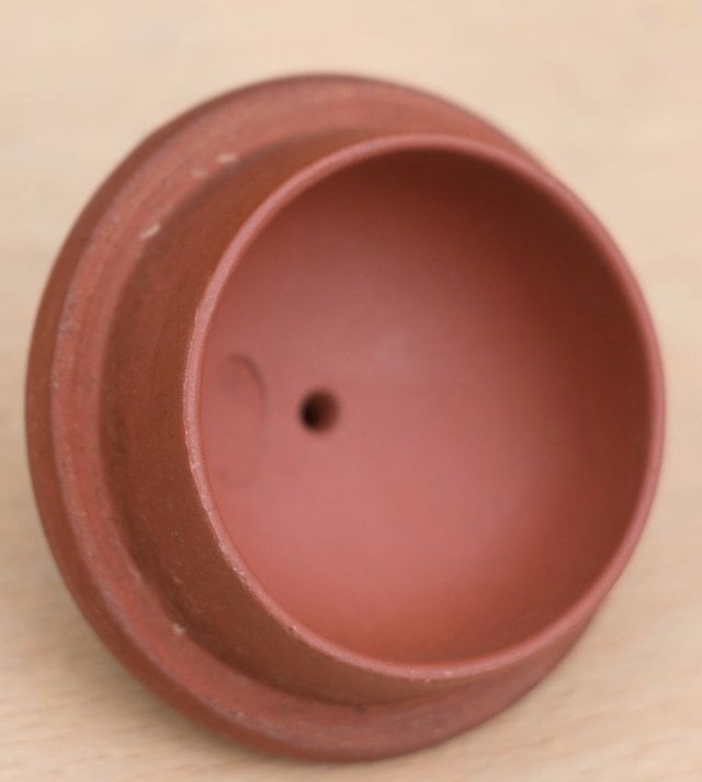 chaozhu (32 of 33) (Medium).jpg