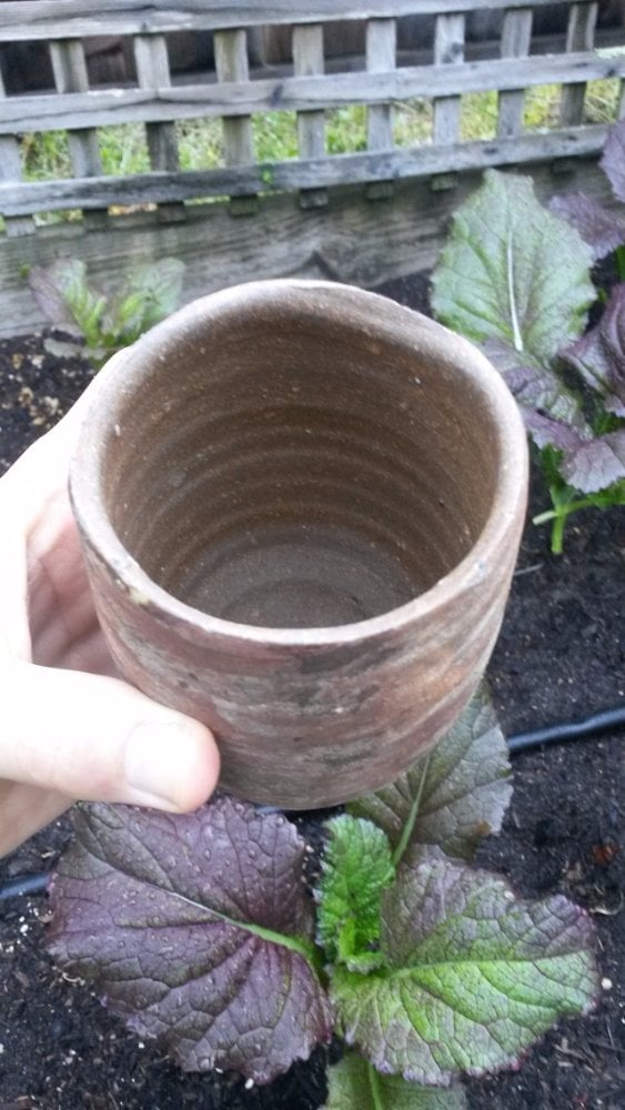 20170520_075423.2.jpg