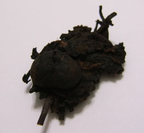 DSCF5784.jpg
