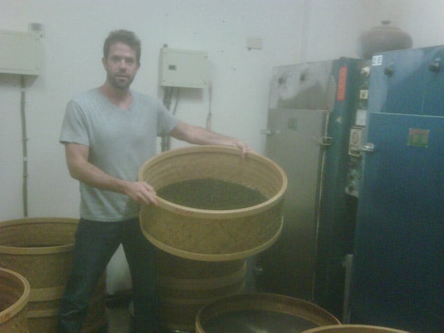 rishi caffeine.jpg