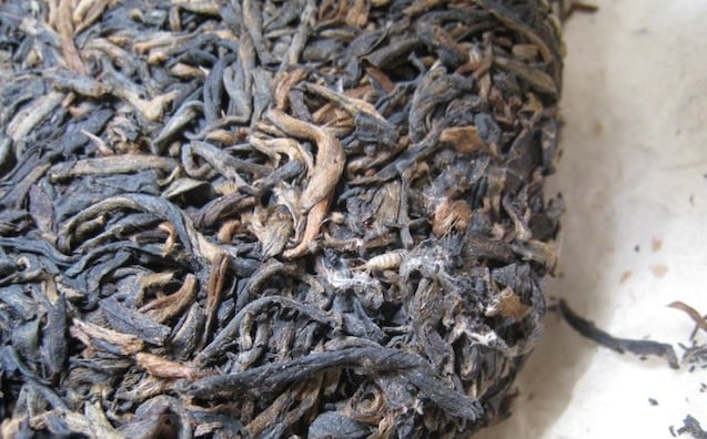 Happy in tea.jpg