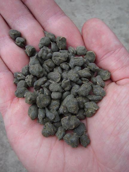 deerPellets.jpg