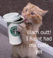 coffeekitteh.jpg