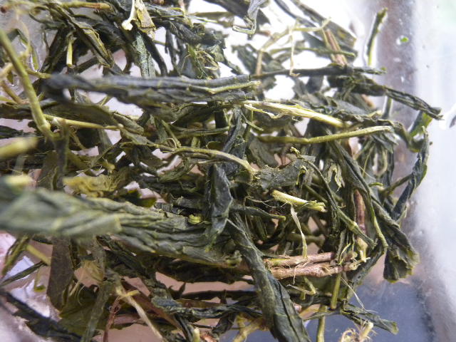 First cut bancha.jpg