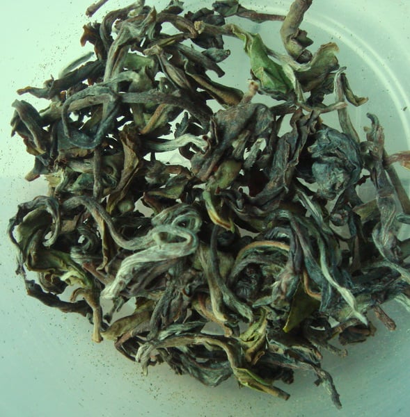 Thurbo 1st flush Oolong.jpg