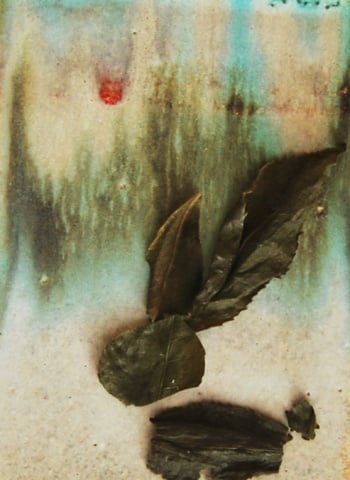 rabbit.jpg
