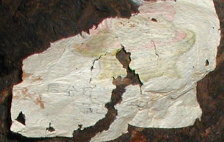 P1010062.JPG