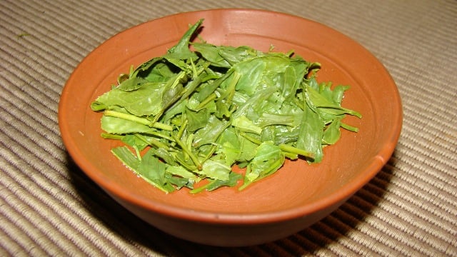 DSC02721.JPG