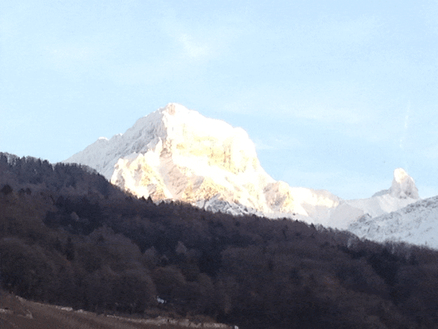 mont2.gif