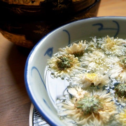 100_5900 (Large) (Medium) (Small).JPG