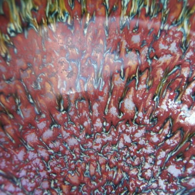 DSCF0570.jpg