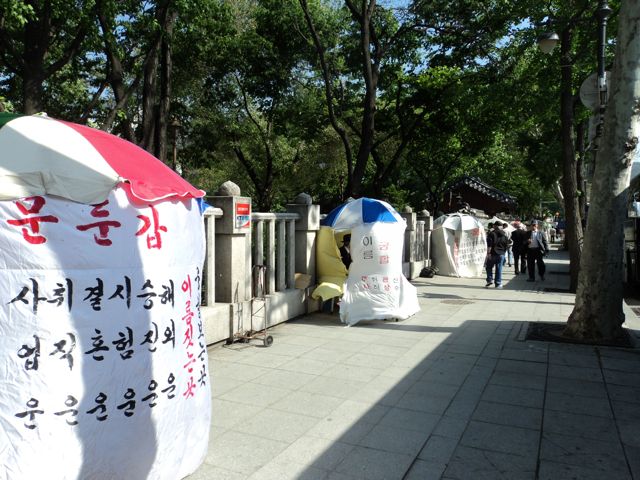 Fortune tellers.jpg