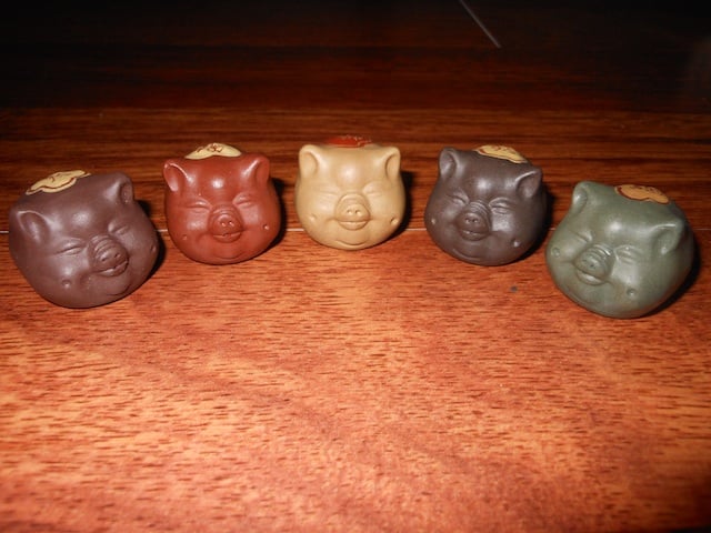 Pigs Brown Heini.jpg