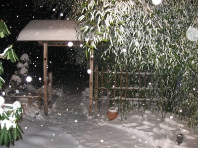 December2012JapaneseGardenSnow.jpg