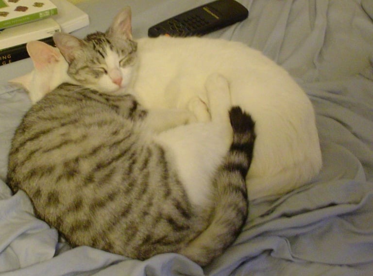DSC05074.JPG