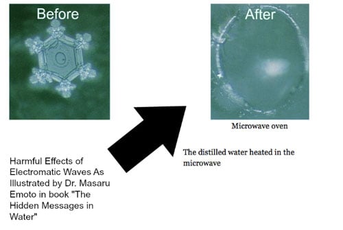 Dr.-Masaru-Emoto-Microwave-Crystal.jpg