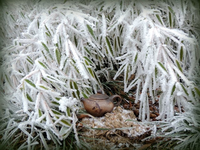 DSCN3363.JPG