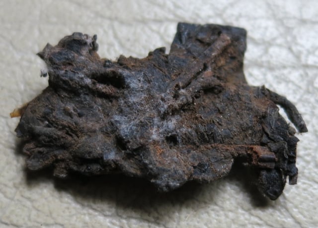 mold1.JPG