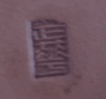 P1110634.gif