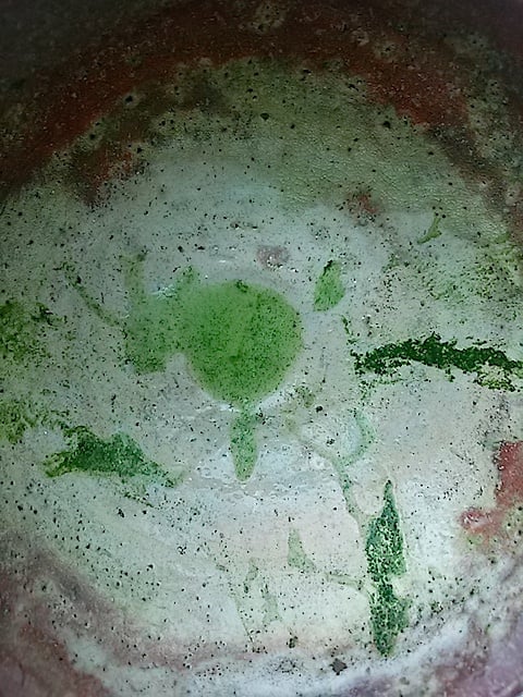 Matcha Memory.jpg