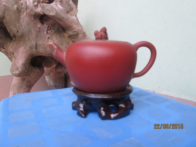 Pot5_4 (Copy).jpg